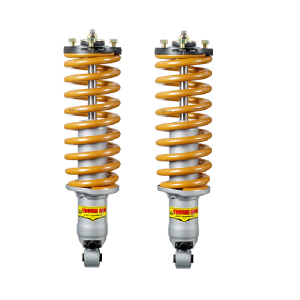 Strut Assembly