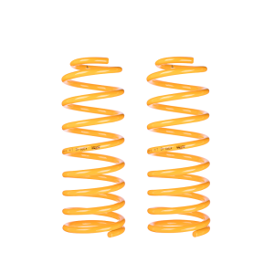 LOWERED KING SPRINGS