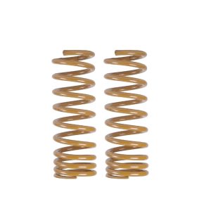 TOUGH DOG COIL SPRINGS - Rear